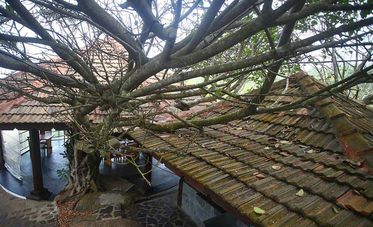 Niraamaya Wellness Retreats, Surya Samudra, Kovalam Exterior foto